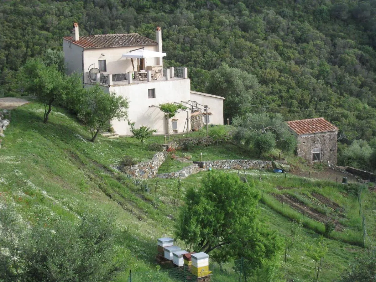 Holiday home Casa Del Macinino Villa Portoferraio